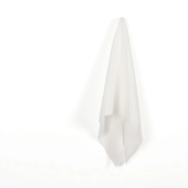 Crinkle Tissue Silk - White - Image 3